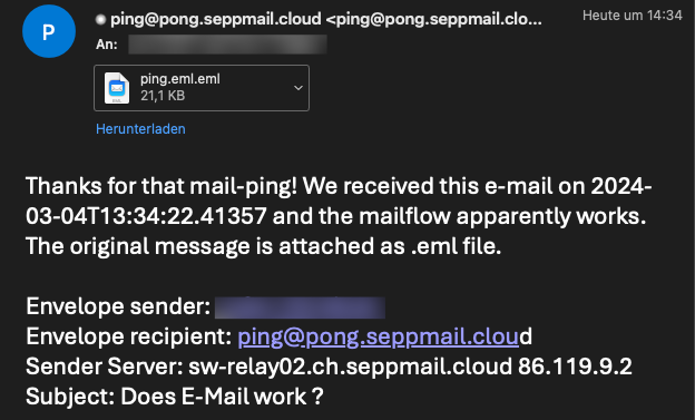 Screenshot der pong-Mailantwort im Mailprogramm