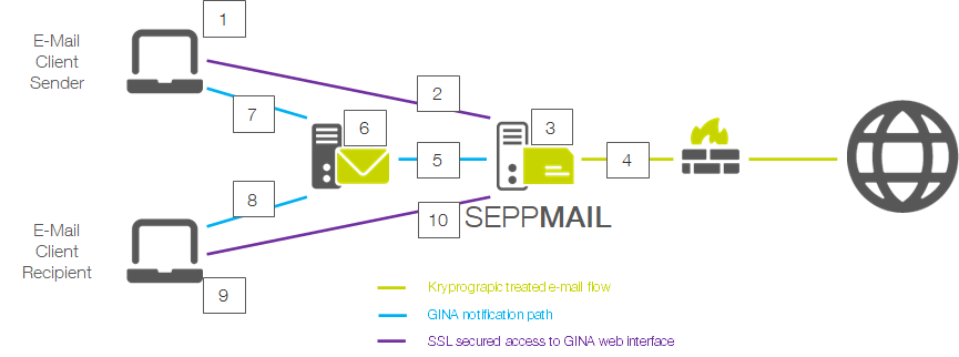 Graphic of the GINA email process